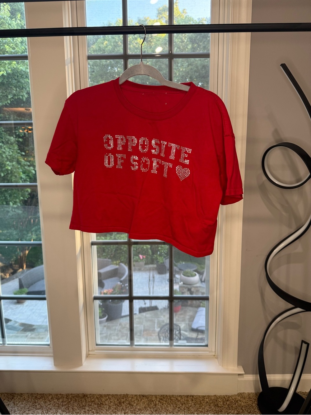 Sabrina Carpenter Official Red Cropped Tee